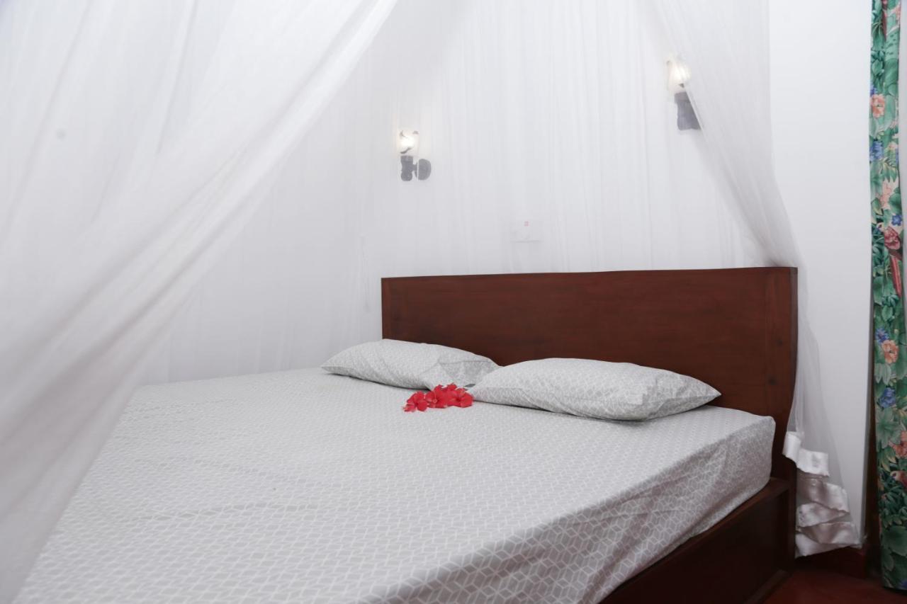 Vivid Lanka Bed & Breakfast Bentota Ngoại thất bức ảnh
