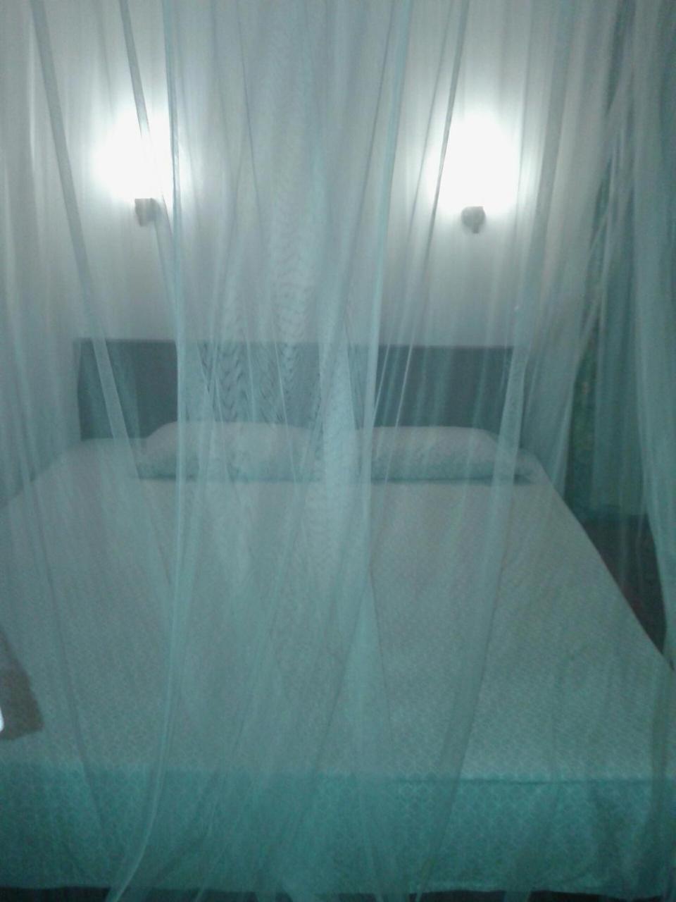 Vivid Lanka Bed & Breakfast Bentota Ngoại thất bức ảnh