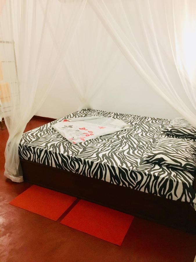 Vivid Lanka Bed & Breakfast Bentota Ngoại thất bức ảnh